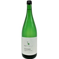 Silvaner trocken 1,0 L - Edwin Huttner