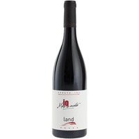 Land Rosso Veneto IGP trocken - Io Mazzucato