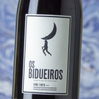 Peixes Os Bidueiros