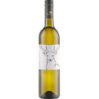 Weinviertel DAC Reserve Junger Berg - Weinhof Hirschbüchler