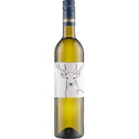 Chardonnay Reserve Ried Junger Berg trocken - Weinhof Hirschbüchler