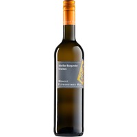 Weisser Burgunder trocken - Weingut Flörsheimer Hof