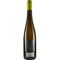 Grauburgunder "Dienheimer Siliusbrunnen" trocken - Weingut Strauß