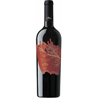 Fletris Primitivo Appassimento Puglia IGP halbtrocken - Montemajor