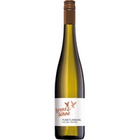 Lorenz & Söhne Lorenz Riesling Trocken Punktlandung