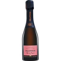 Champagne Rosé de Saignée Brut Demi