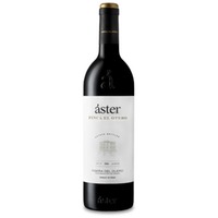Áster Finca El Otero