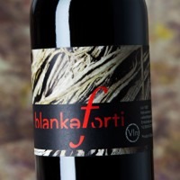 Jordi Llorens Blankaforti
