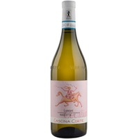 Langhe Nascetta Anfora DOC trocken - Cascina Corte