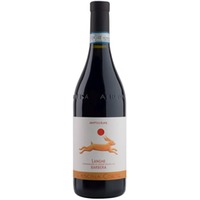 Langhe Barbera Amphorae DOC trocken - Cascina Corte
