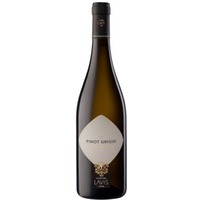Pinot Grigio Trentino DOC 0,75 l 12,5% - | Lavis
