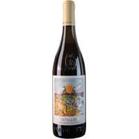 Soave Classico Superiore Castellaro DOCG Domini Veneti 0,75l 13% - | Negrar
