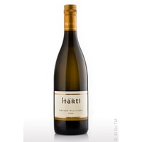 Grüner Veltliner Ried Hirschpoint, Qualitätsbiowein trocken, Toni Hartl