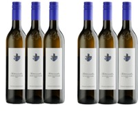 Kodolitsch Set SÜDSTEIERMARK Gebietsweine 6x0,75l