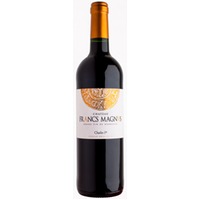 Chateau Francs Magnus Charles 1er