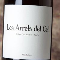 Les Arrels del Cel