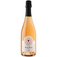 Spumante Metodo Classico Rosé brut - Paolo Avezza