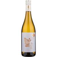 Welschriesling "Steppenthymian" trocken - PreinerWein