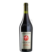 Poulsard Bois d'Arnaux