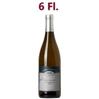 Roter Veltliner Ried Steinberg Privat 6er Paket - Josef Fritz