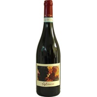 Aglianico Sannio DOC trocken - Vigne di Malies