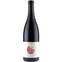 Weingut Rudolf Fidesser Orbis Natural Wine Rot 0.75 L Flasche