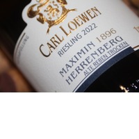 Maximin 1896 Herrenberg Riesling alte Reben