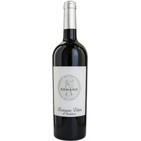 Romano Refosco dal Peduncolo Rosso IGP trocken - Villa Vitas