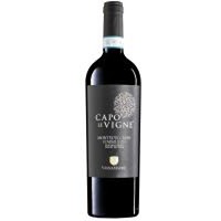 Montepulciano Abruzzo Capo le Vigne Vigna Madre