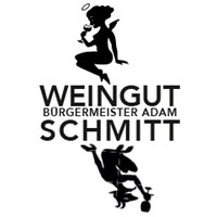 1000ml rot trocken Bio 1,0 L - Weingut Bürgermeister Adam Schmitt