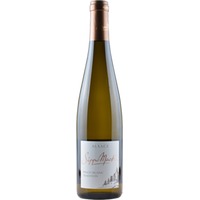 Pinot Blanc Tradition