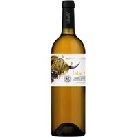 IALACH Blanc trocken - Domaine du Champ Chapron