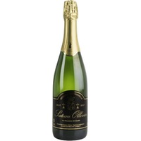 Méthode Traditionnelle Blanc brut - Domaine du Champ Chapron