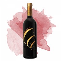 Litina Barbera d'Asti (Cascina Castlèt)