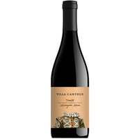Manzoni Rosso Veneto IGP trocken - Villa Canthus