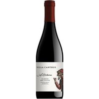 Raboso Altichiero del Piave DOC trocken - Villa Canthus