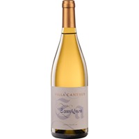 Sauvignon Blanc Venezia Giulia IGP trocken - Villa Canthus