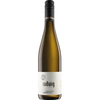 Ritsch Riesling trocken - Weingut Gebrüder Ludwig