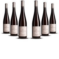 Julien Schaal Riesling Grand Cru Sommerberg "Granite" Elsass