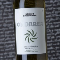Doniene Gorrondona Ondarea