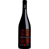 Nero di Troia Puglia IGP trocken Bio - Cantine Losito