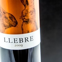 Llebre