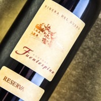 Fuentespina Reserva