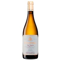 Contino Blanco