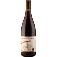 Klingenberger Schlossberg Spätburgunder Kastanienfass trocken Bio - Weinbau Stritzinger
