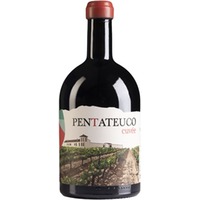 Pentateuco Magnum Cuvèe Extremadura VT trocken 1,5 L - Pentateuco - Agro Ribera Nature