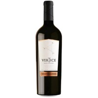 Ventisquero Vertice
