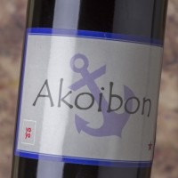 Yoyo Akoibon