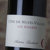 Antoine Lienhardt Côte de Nuits Villages Les Essards