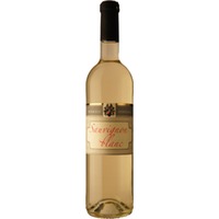 Freinsheimer Musikantenbuckel Sauvignon Blanc trocken - Weingut Winkels-Herding